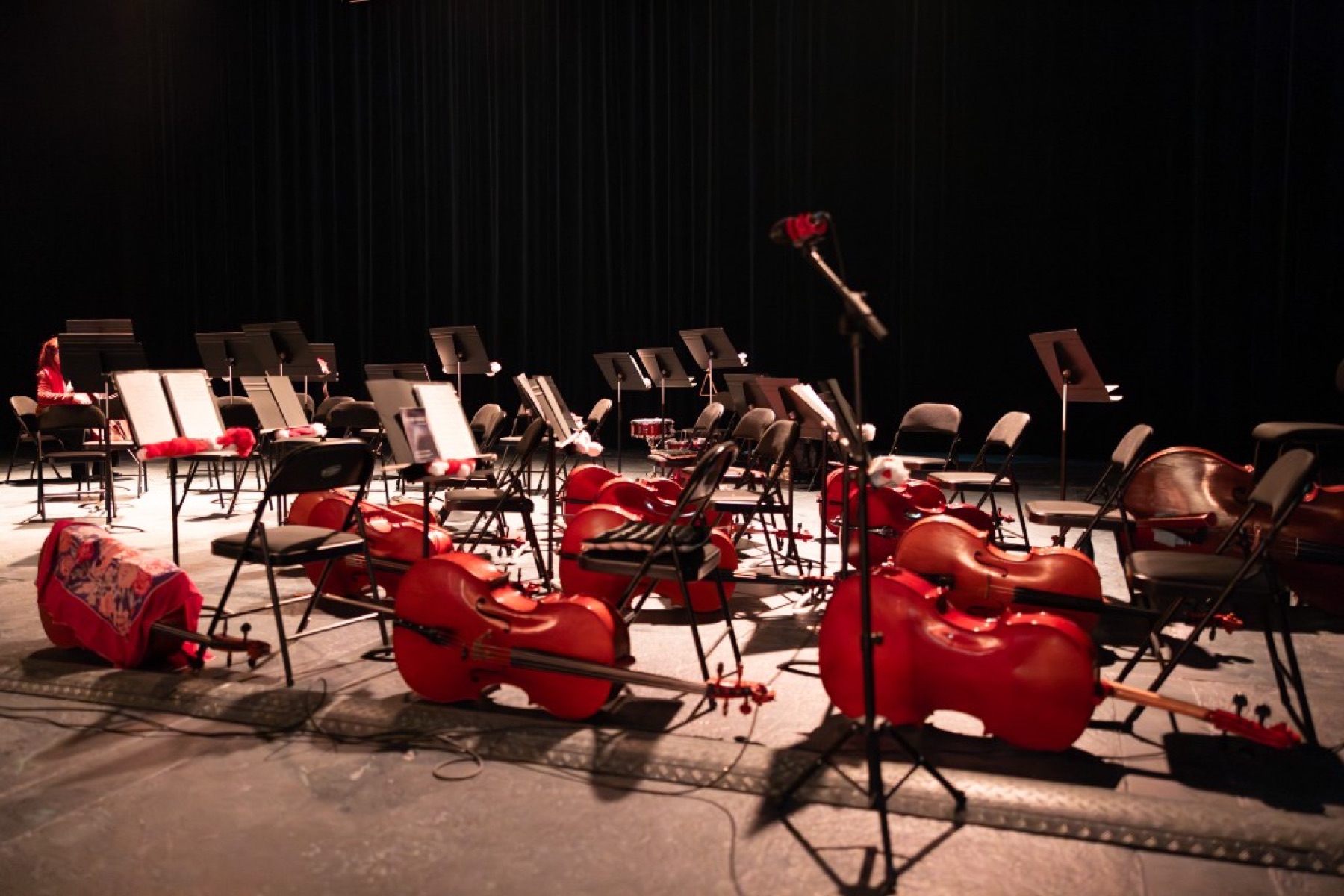 Violoncelles au repos